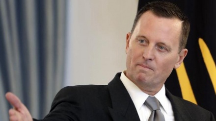 Almanya'da ABD tartışması 'Büyükelçi derhal sınır dışı edilmeli'