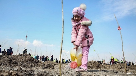 Penanaman Bibit Pohon di Mashhad (2)