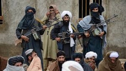 نگرانی جامعه همسود از تحرکات داعش در مرز افغانستان و تاجیکستان 