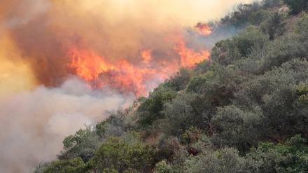 Incendios forestales arrasan con más de 10.000 hectáreas en Honduras