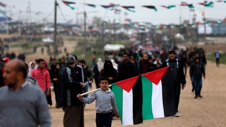 Protestat e palestinezëve