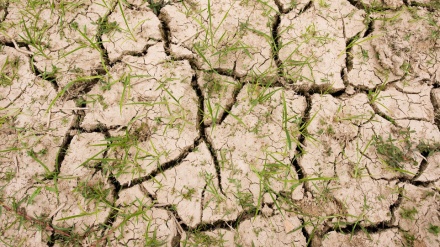 ONU: allarme Siccità per 10 milioni bambini in Corno d'Africa