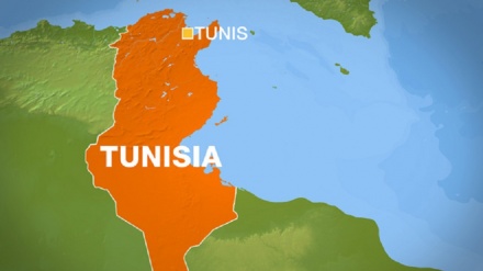 Spika wa Bunge la Tunisia asifu misimamo ya kimapinduzi ya Iran kuhusu suala la Palestina.