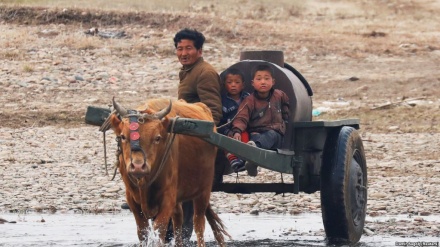 OKB: 11 milionë njerëz vuajnë nga kequshqyerja në Korenë V.