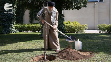 Iran: Jagoran Juyin Juya Hali Ya Jagoranci Dashen Itatuwa