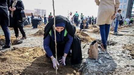 Penanaman Bibit Pohon di Mashhad (1)