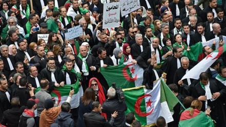 Algeria: Hundreds of thousands battle rain to protest Bouteflika
