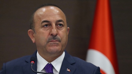 Çavuşoğlu: İtalyan Parlamentosu'nun kararı yok hükmünde