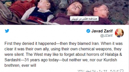 イラン外相、「ハラブチェとサルダシュトの悲劇は決して忘却されない」