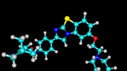 Leucemia 'sfugge' a sistema immunitario, svelato il meccanismo