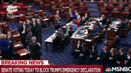 Senado rechaza emergencia nacional de Trump por muro fronterizo