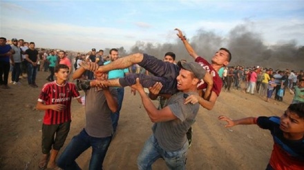 Importancia del 43.º aniversario del Día de la Tierra Palestina