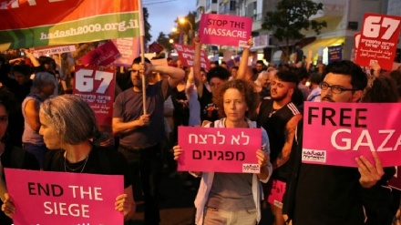 מאות הפגינו ברמאללה ובתל אביב לתמיכה במפגינים ברצועת עזה