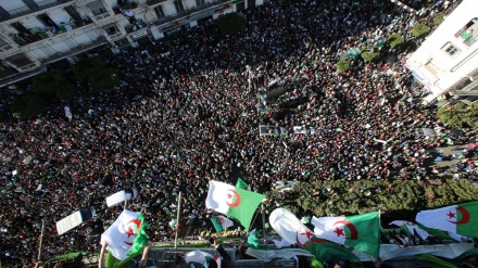 Maandamano makubwa yafanyika Algeria, Bouteflika  akataa kung'atuka madarakani