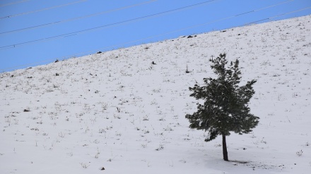 Freddo record in Australia, arriva la neve