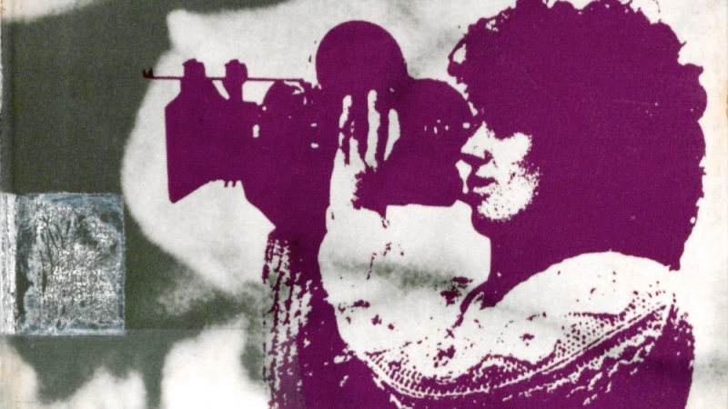 Donne in Occidente (21): Feminist Film Theory