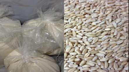 Мувофиқати Қазоқистон бо идомаи содироти гандум ва орд ба Тоҷикистон