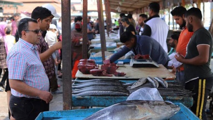 Pasar Ikan di Bandar Abbas