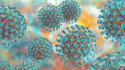 Probiotici come disinfettanti, riducono le infezioni ospedaliere 