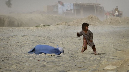 Толибон гуруҳи янги жиноятида яна бир аёлни қатл этдилар