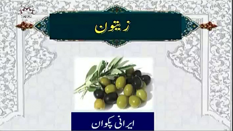 Gesundheit und Wohlbefinden im Islam (16 – „bei der Feige und Olive“ )