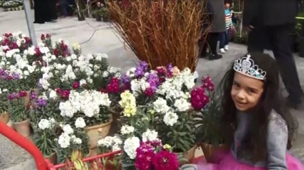 Pasar Bunga untuk Persiapan Nowruz