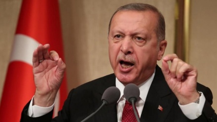 तुर्कीः निकाय चुनाव में राष्ट्रपति अर्दोग़ान की पार्टी को झटका