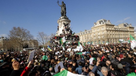 More ruling party officials ditching Algeria’s Bouteflika