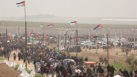 Matan a un palestino y hieren a unos 70 en Gaza+Video