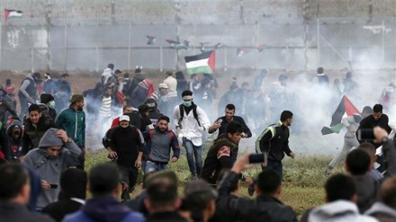 Solutions acceptable to Palestinians required for Palestine peace