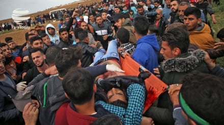  33 زخمی در پنجاه وپنجمین جمعه راهپیمایی حق بازگشت در نوار غزه