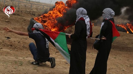 60 të plagosur në protestën për të drejtën e kthimit në Gaza