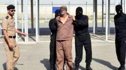 افشاگری سی‌ان‌ان از شکنجه و اعترافات اجباری اعدام‌شدگان عربستانی