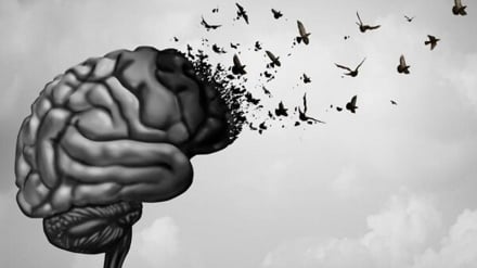 برای جوان ماندن مغز چه کنیم؟