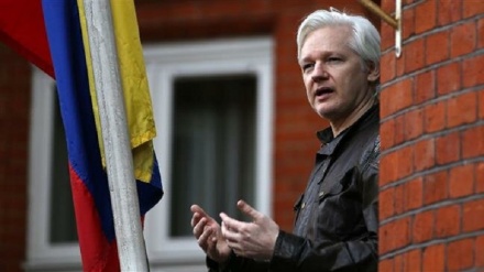 Ecuadorian diplomat says Assange never disrespected London embassy staff
