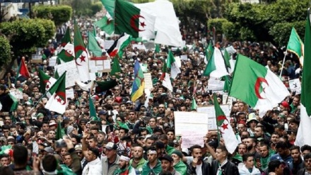 5 Algerian billionaires arrested as part of anti-graft investigation