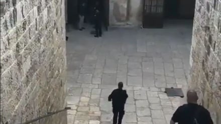 Aparat Keamanan Zionis Tangkap Jemaah Shalat Palestina