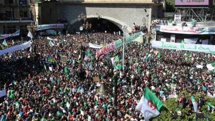 Algeria probing 7 businessmen for corruption