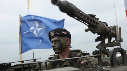 NATO is just a scam to funnel money to US arms manufacturers 