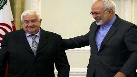 Zarif: Resistencia siria salvó a la región de un gran peligro+Video