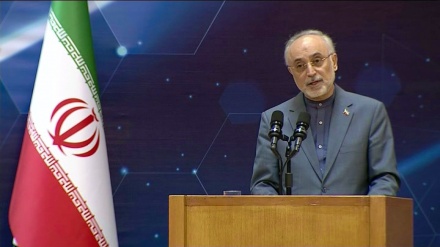 イラン原子力庁、「アメリカの行動は、イランの核産業の目的達成を妨害できなかった」