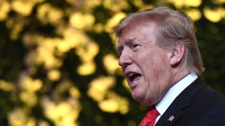 Trump, listo 100 % para cerrar frontera entre EEUU-México