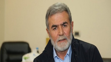 Xhihadi Islamik: Rezistenca është gati të përballet me çdo skenar