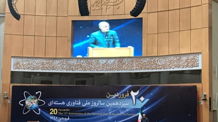 סאלחי: נמשכים המאמצים לקדם את התעשייה הגרעינית