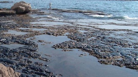 Hazar denizinde petrol kirliliği ve BP’nin rolü 