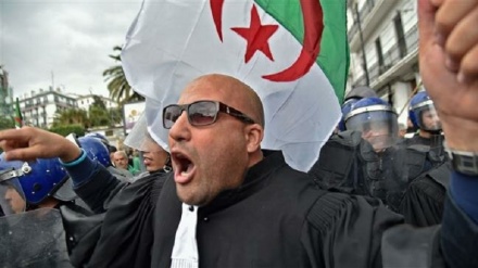 Algeria dismantles cabinet, appoints caretaker government