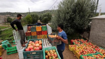 Tunisia: dal 29 nuovi negoziati per accordo scambio con l'Ue