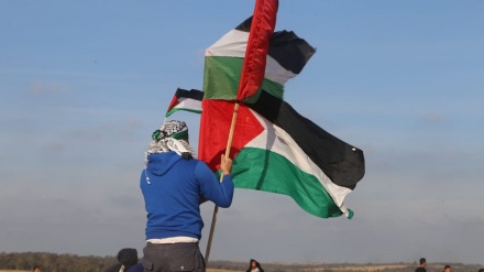 84 heridos en 53.ª jornada de Gran Marcha del Retorno(video+fotos)