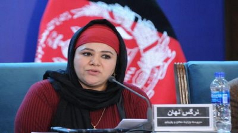 دعوت افغانستان از کشورهای دنیا برای سرمایه گذاری در بخش معادن این کشور