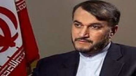 “Ejecuciones mostraron grave crisis de ilegitimidad de Al Saud”